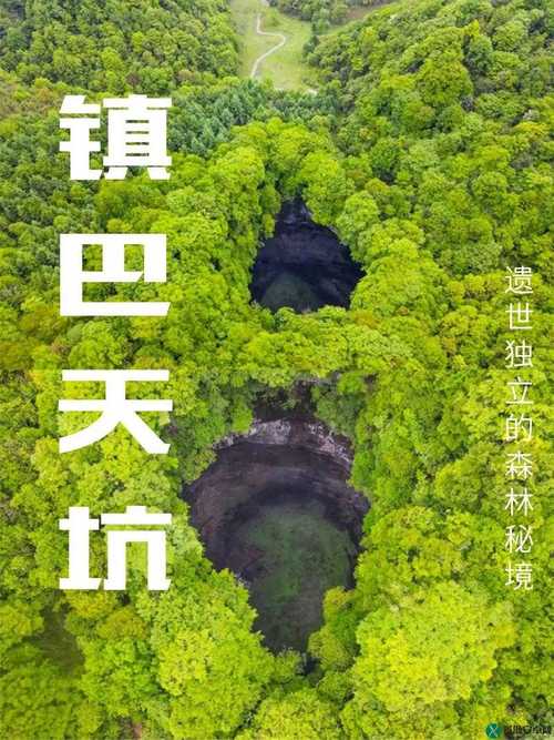  发现新视野：“大地资源三在线观看8”的震撼体验